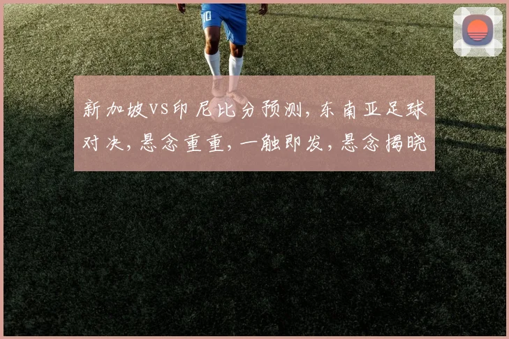 新加坡vs印尼比分预测,东南亚足球对决,悬念重重,一触即发,悬念揭晓
