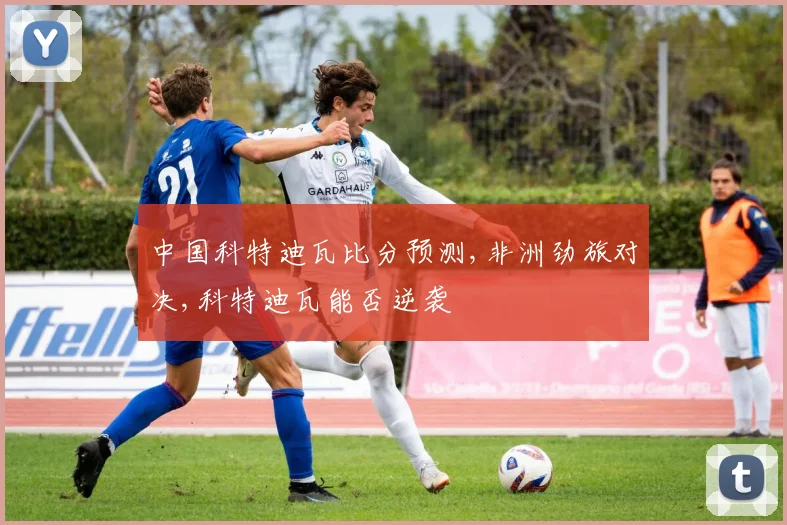 中国科特迪瓦比分预测,非洲劲旅对决,科特迪瓦能否逆袭