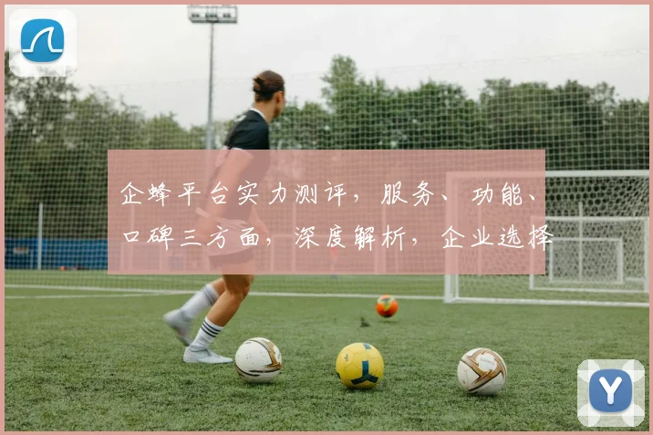 企蜂平台实力测评，服务、功能、口碑三方面，深度解析，企业选择指南，不容错过