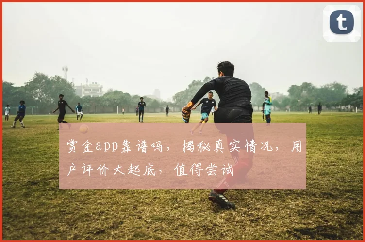 赏金app靠谱吗，揭秘真实情况，用户评价大起底，值得尝试